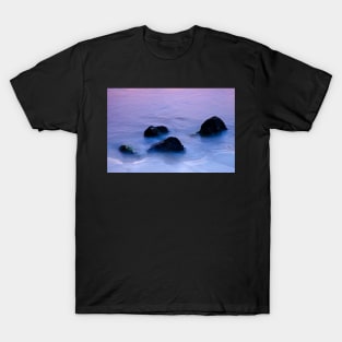 Stones in sea water T-Shirt